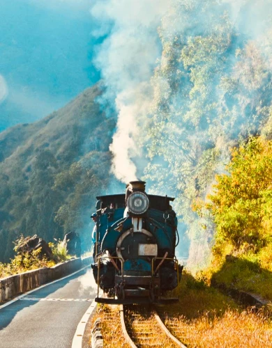 Darjeeling Toy Train